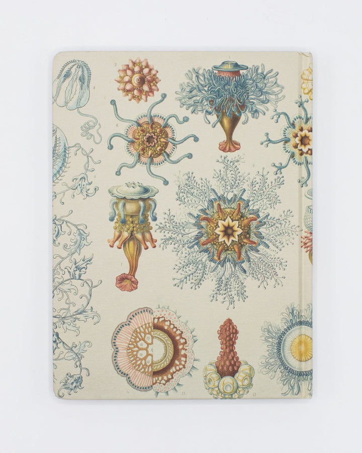Haeckel Jellyfish Journal