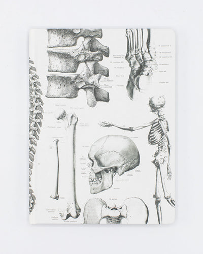 Skeleton Anatomy Journal - White