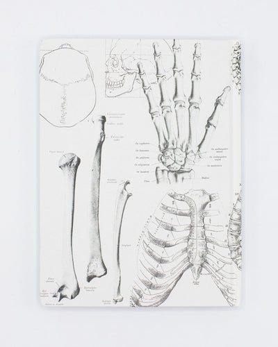 Skeleton Anatomy Journal - White