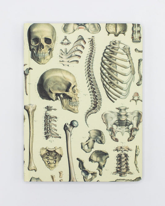 Skeleton Anatomy Journal - Muted