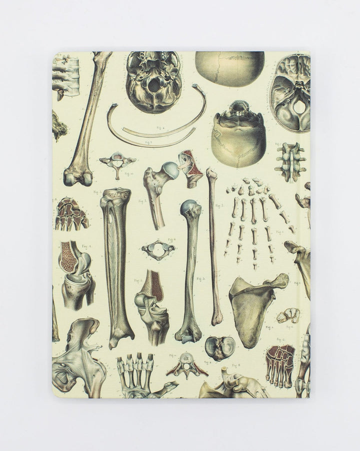 Skeleton Anatomy Journal - Muted