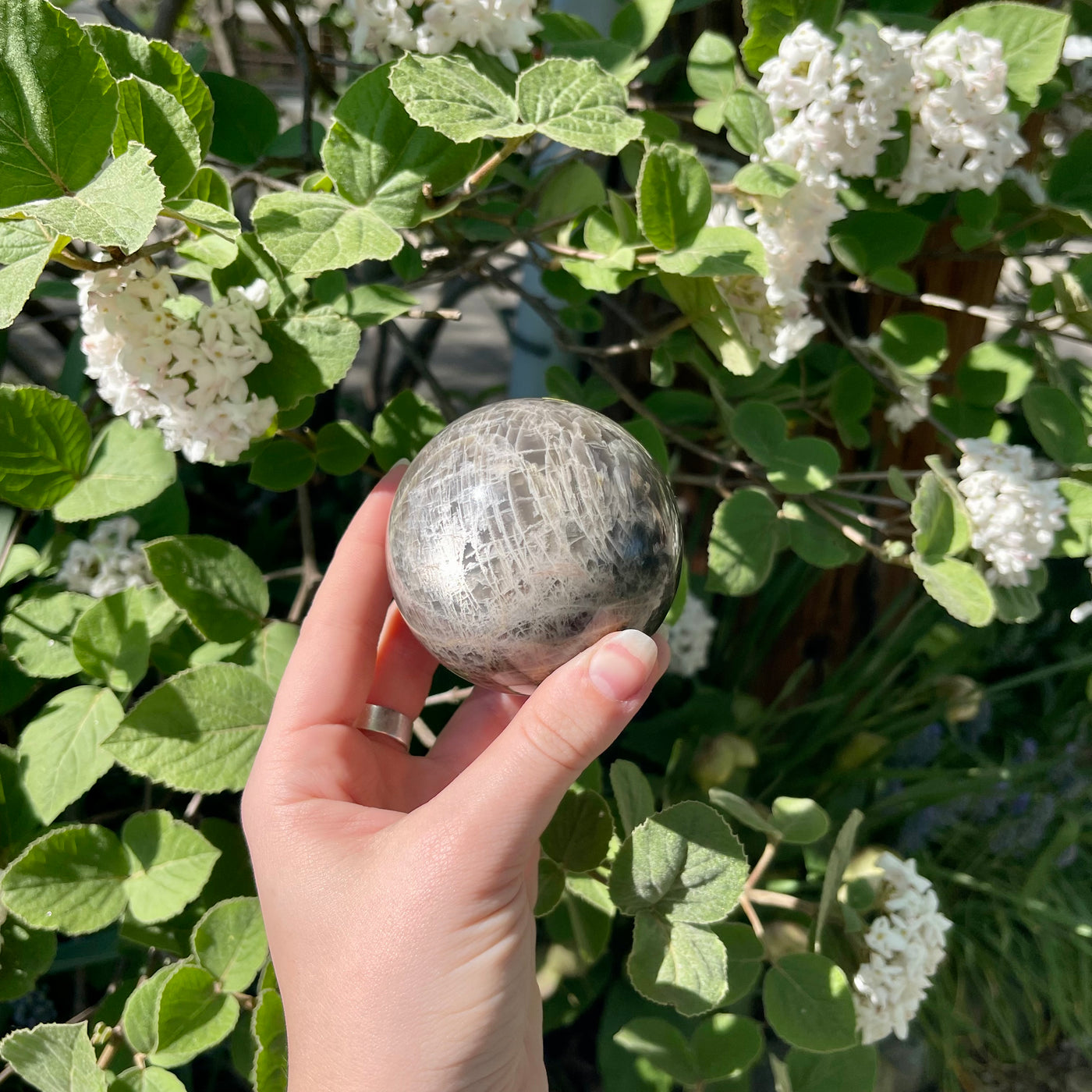 Dark Side of the Moon - Black Moonstone Sphere