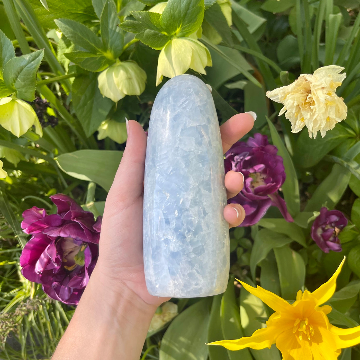 Celestial Bodies - Blue Calcite Freeforms