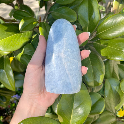 Celestial Bodies - Blue Calcite Freeforms