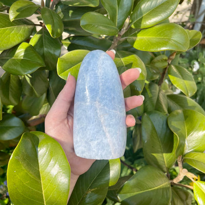 Celestial Bodies - Blue Calcite Freeforms