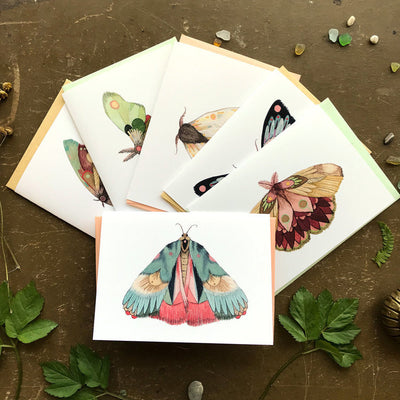 Moths Card Set