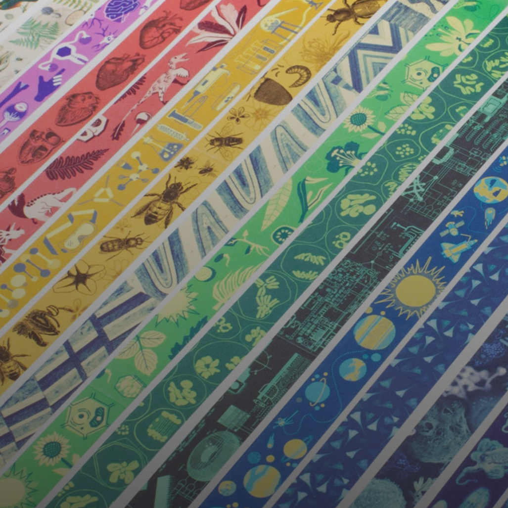 Mystery Washi Tape Pack