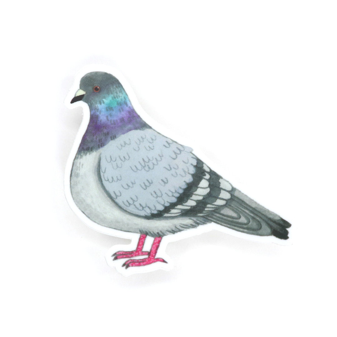 Pigeon Sticker