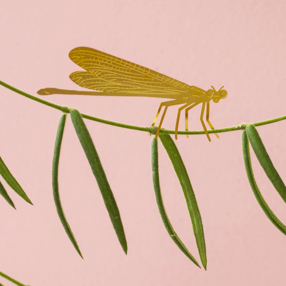 Plant Animal Dragonfly