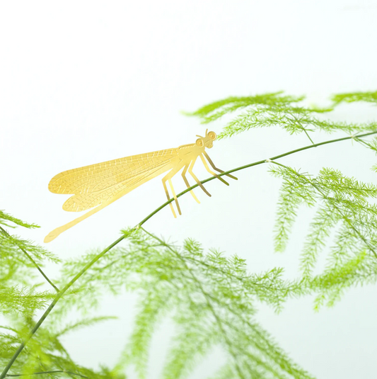 Plant Animal Dragonfly