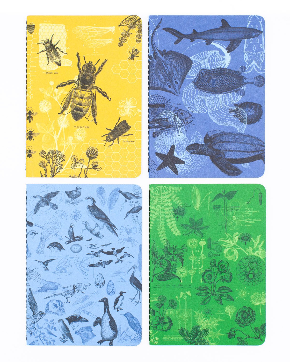 Animal Pocket Notebook Pack