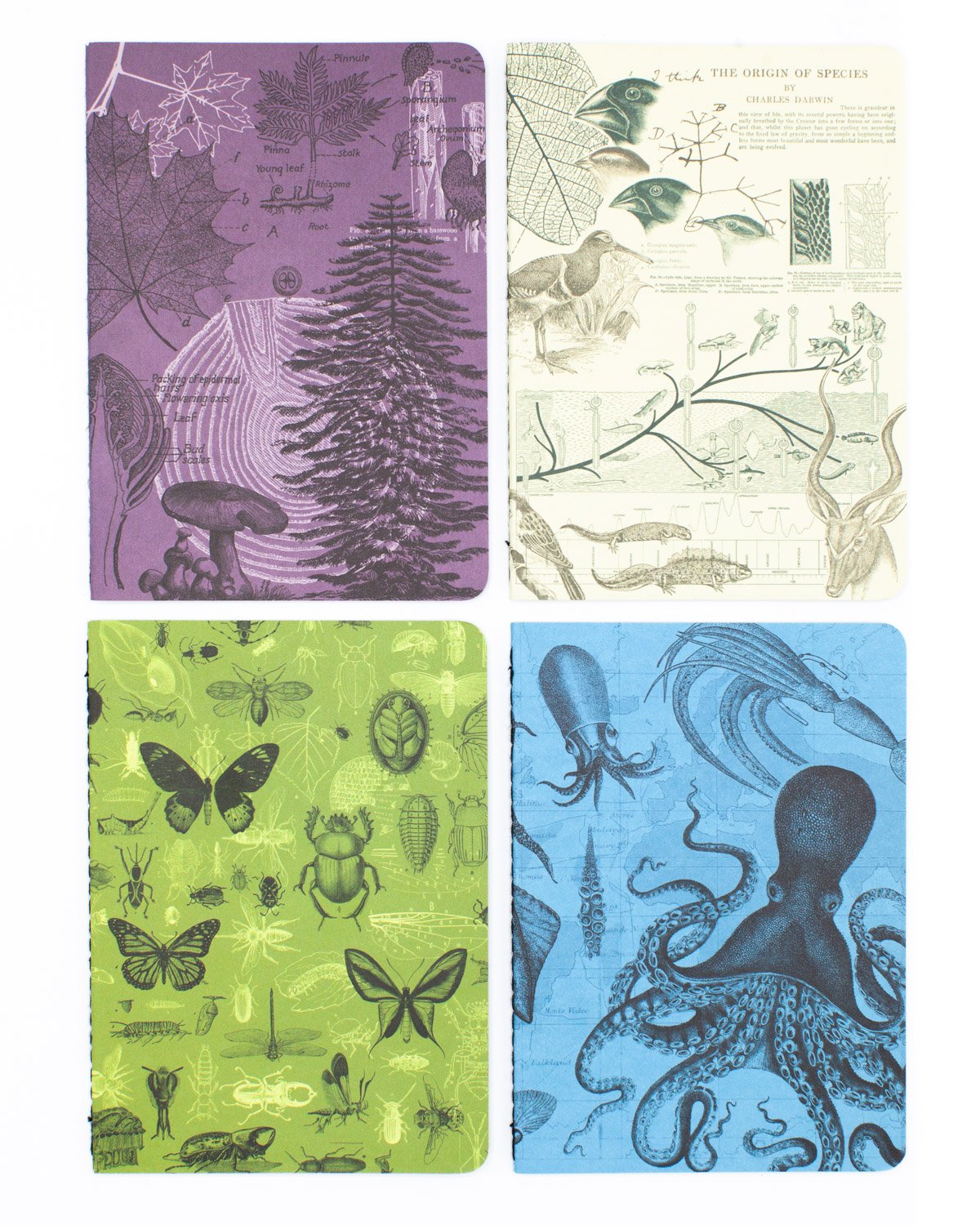 Wildlife Pocket Notebook Pack