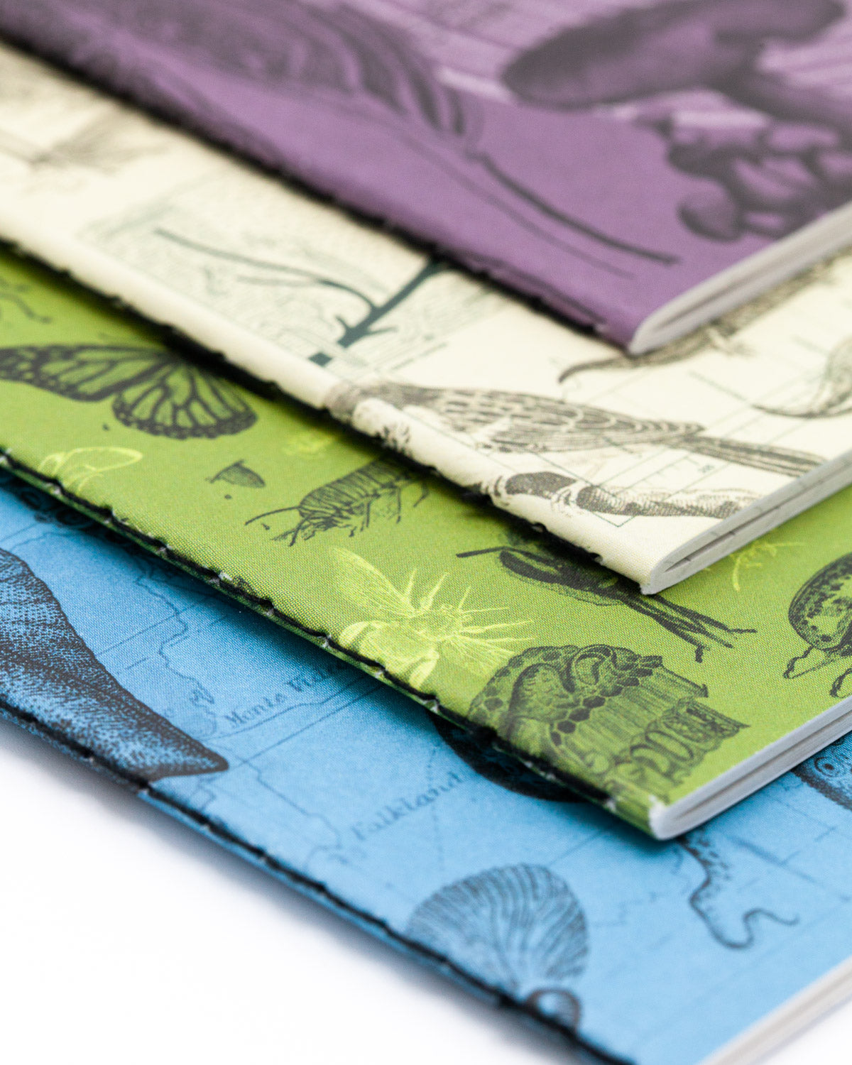 Wildlife Pocket Notebook Pack