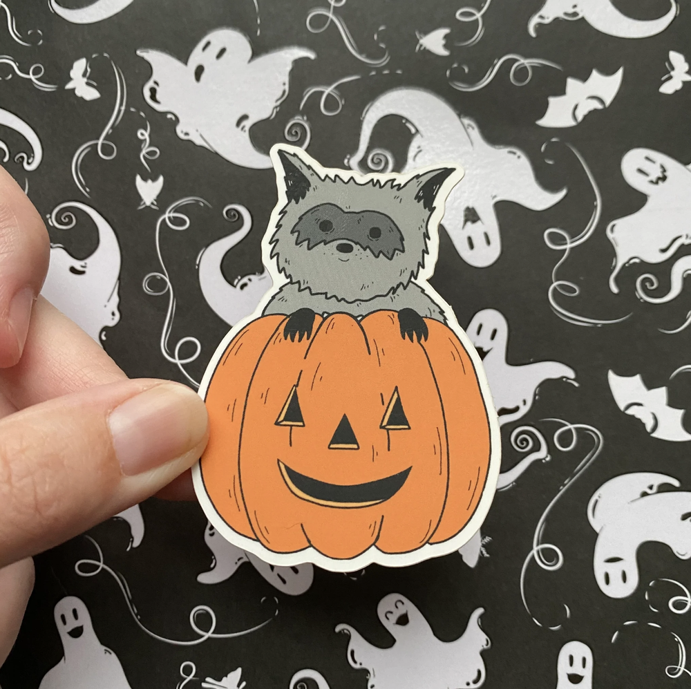 Raccoon Pumpkin Sticker