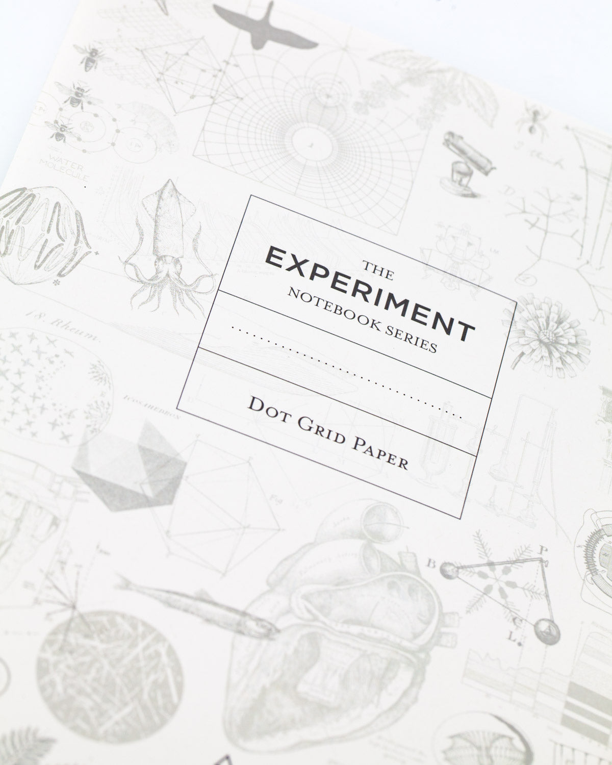 Dinosaur Dig Notebook