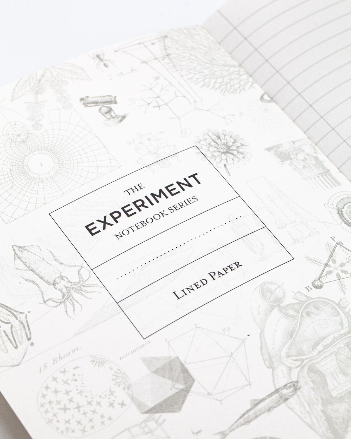 Mineral Kingdom Notebook