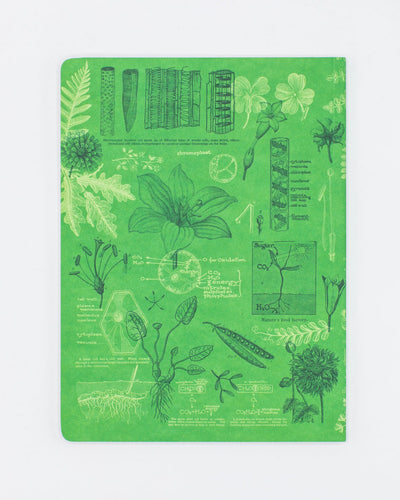 Botany Studies Notebook