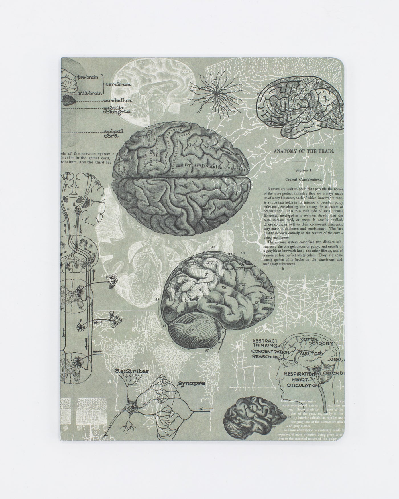 Brain Notebook