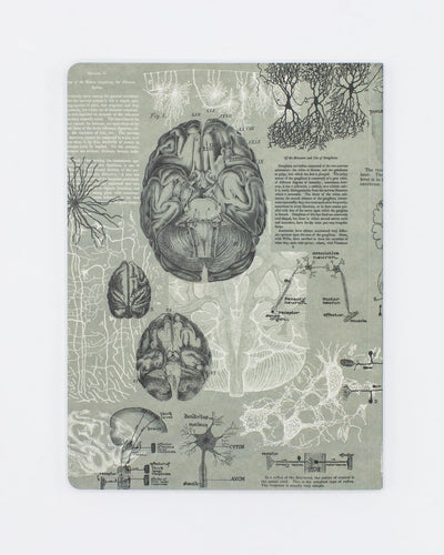 Brain Notebook