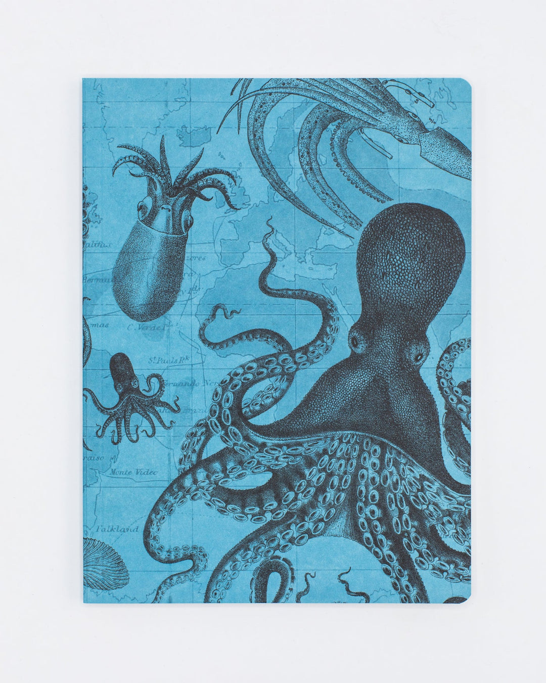 Octopus + Squid Notebook