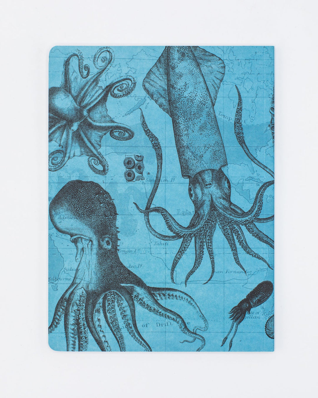 Octopus + Squid Notebook