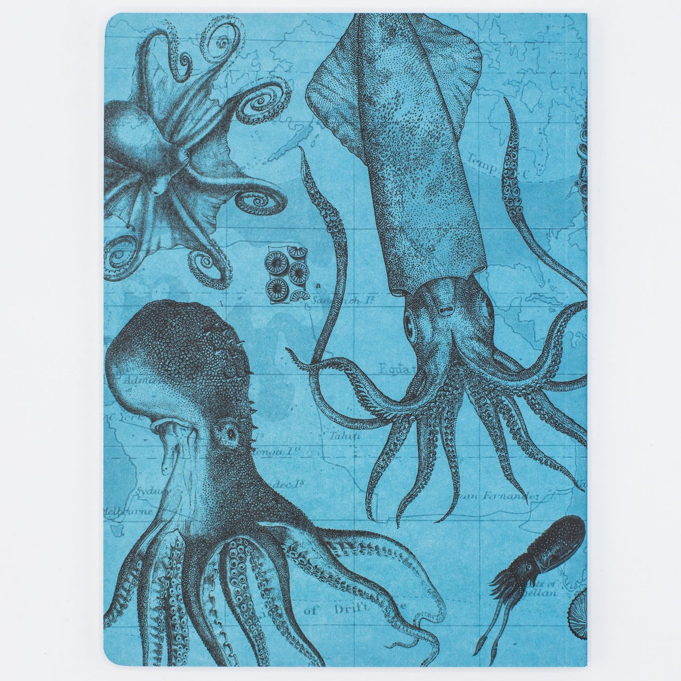Cognitive Surplus - Octopus + Squid Notebook