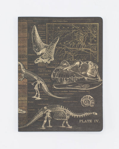 Dinosaur Dig Notebook