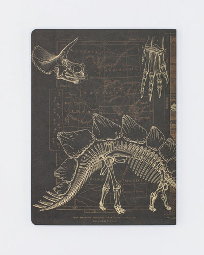 Dinosaur Dig Notebook