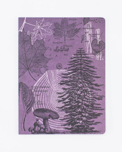 Forest at Dusk Notebook