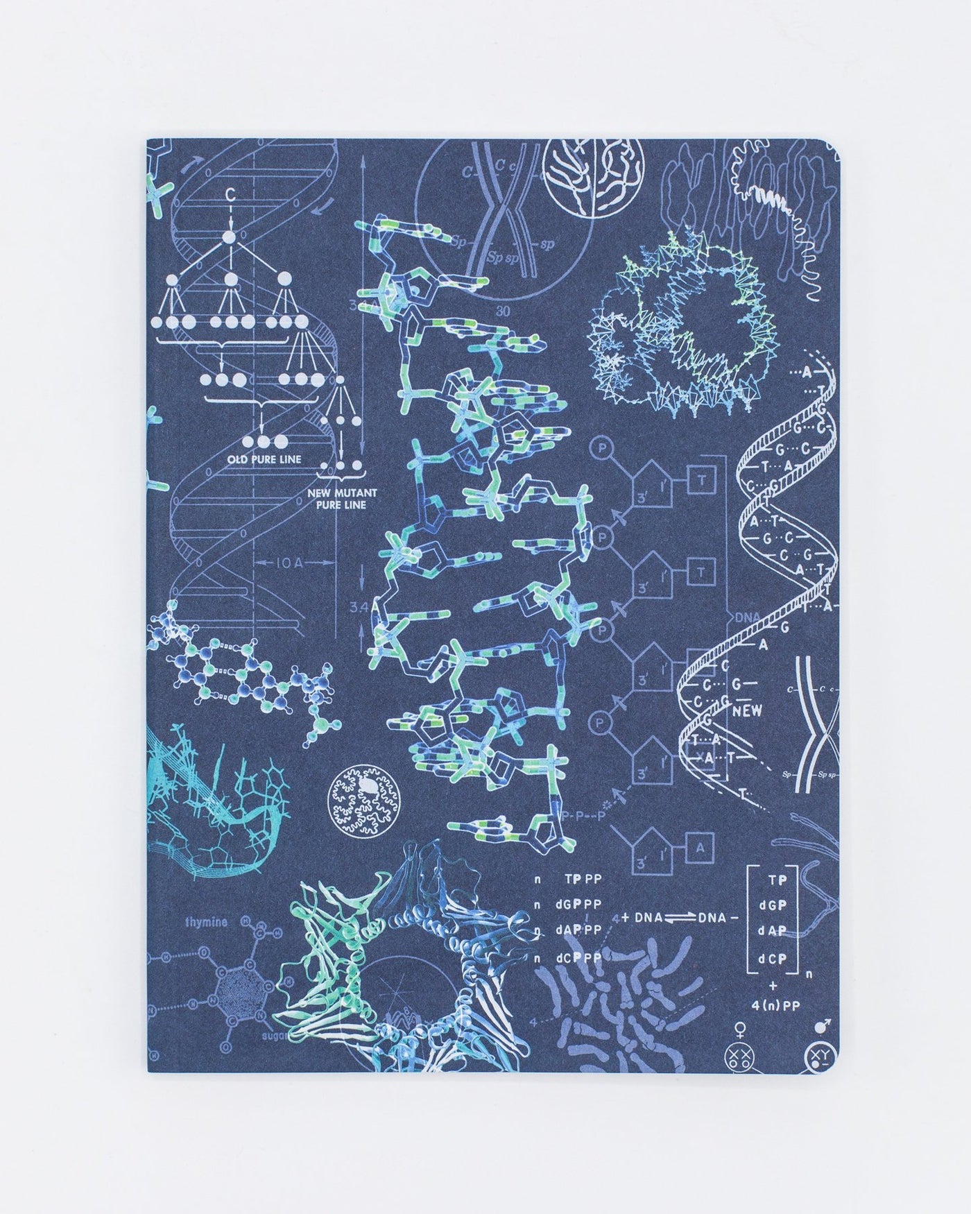 DNA Notebook