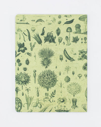 Fern Notebook