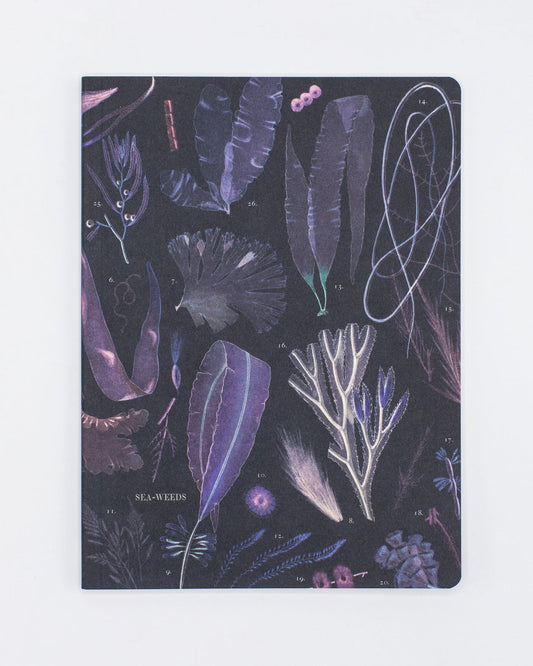 Seaweed Notebook