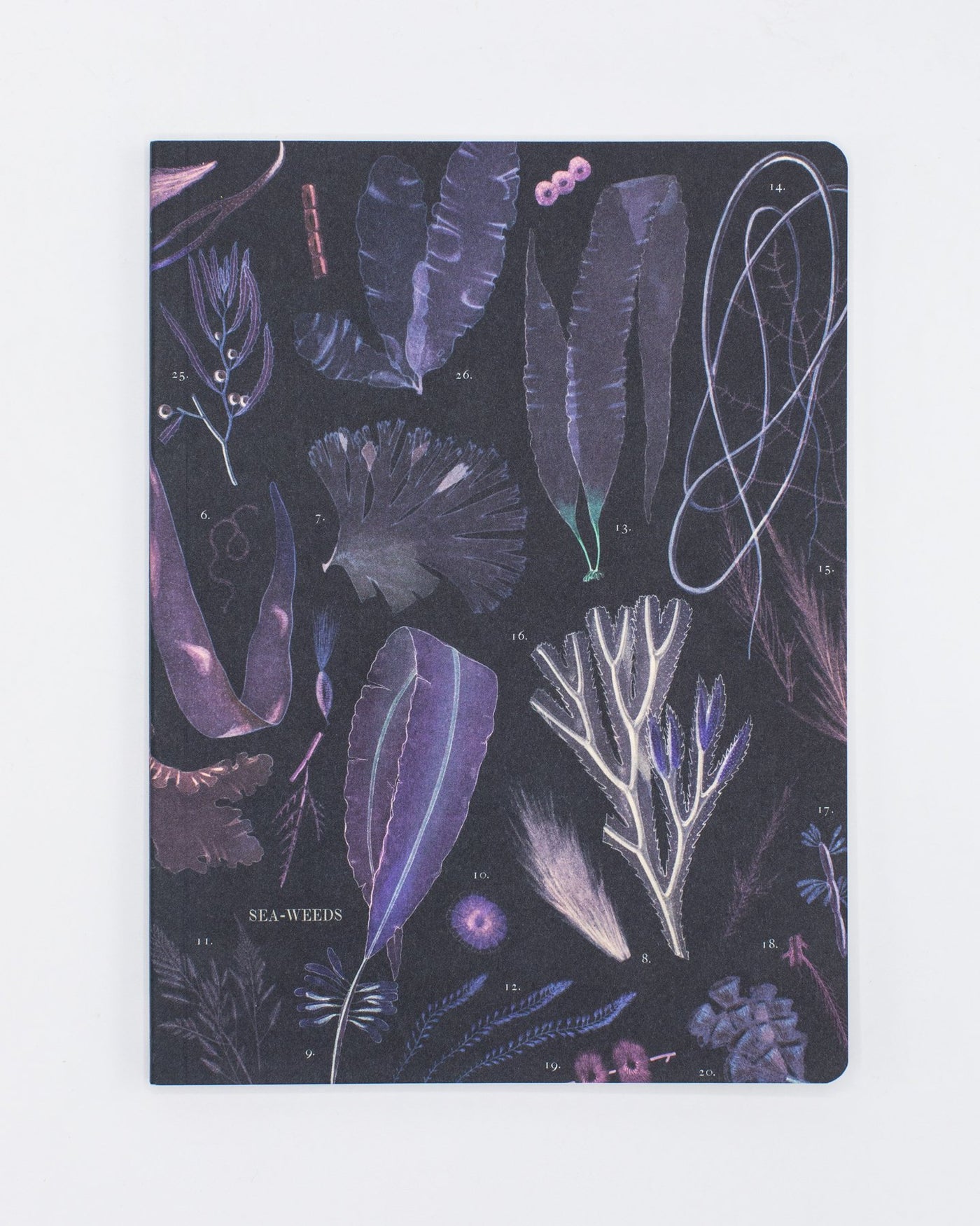Seaweed Notebook