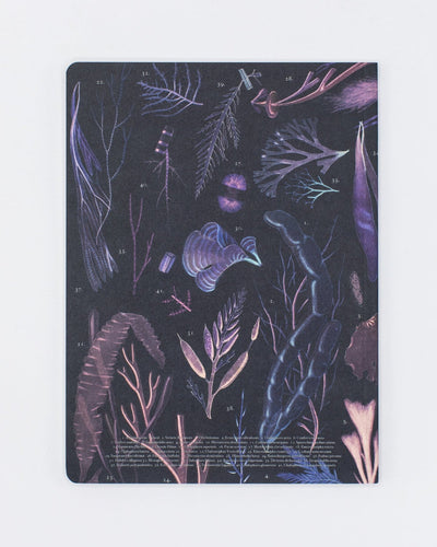 Seaweed Notebook