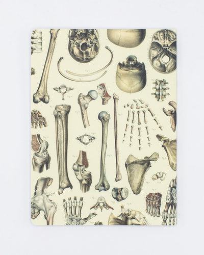 Skeleton Anatomy Notebook