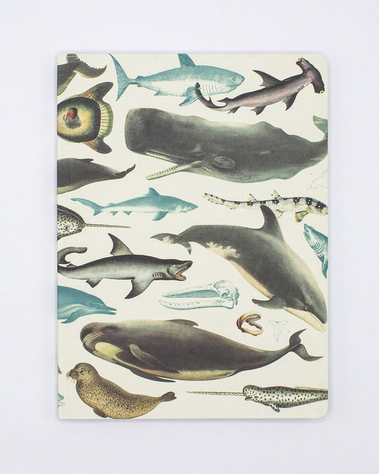 Whales Notebook