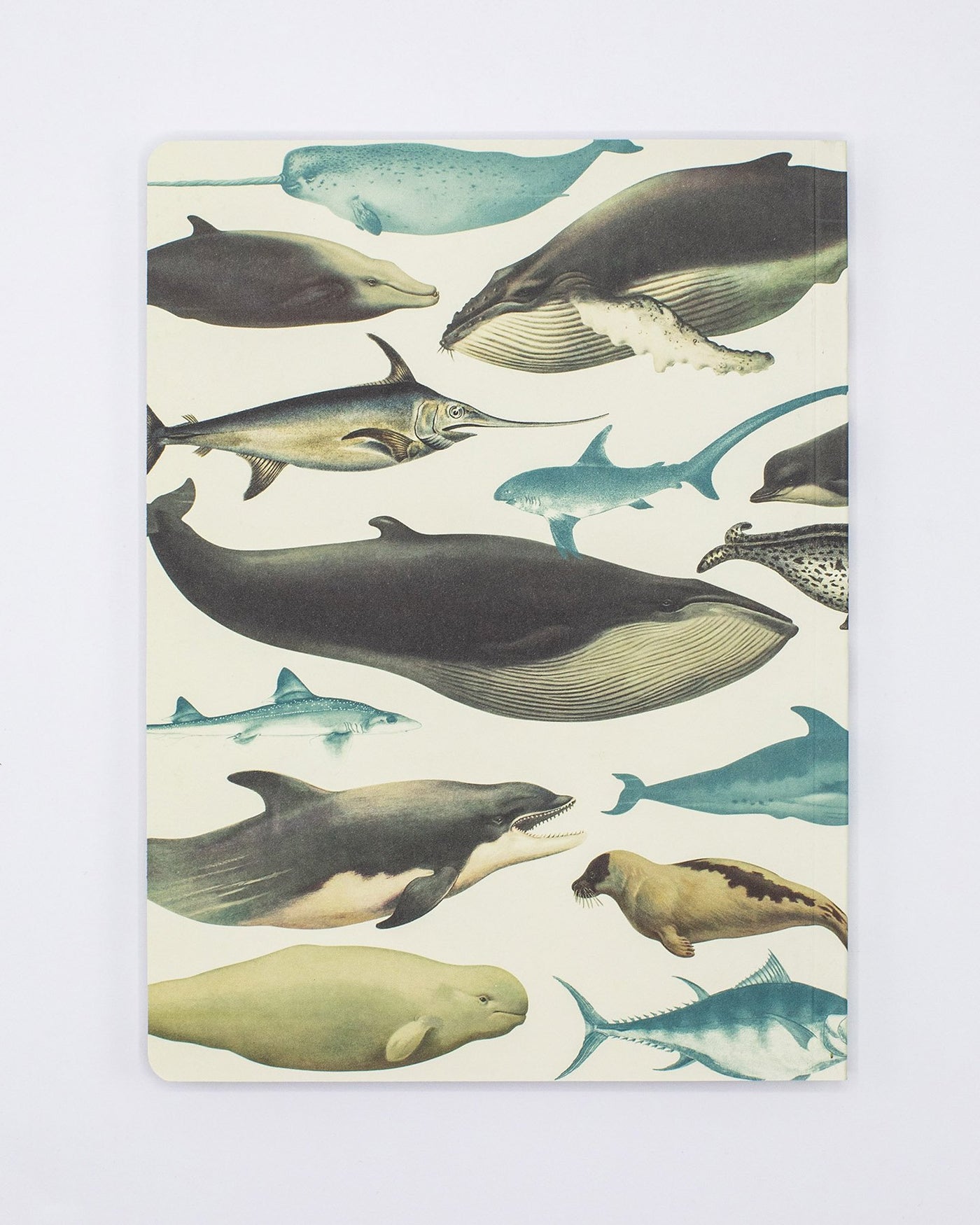 Whales Notebook
