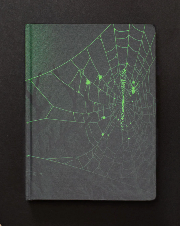 Arachne's Spiders & Webs Dark Matter Journal