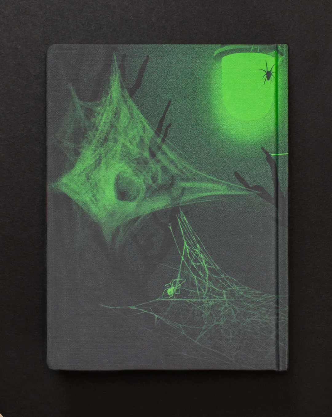 Arachne's Spiders & Webs Dark Matter Journal