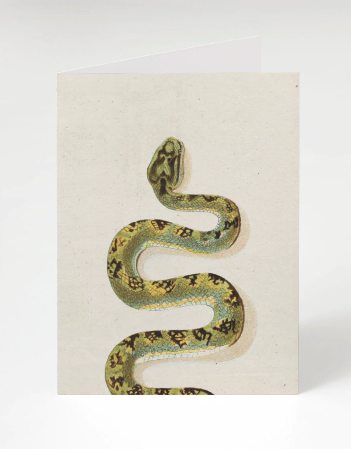 Green Snake Card