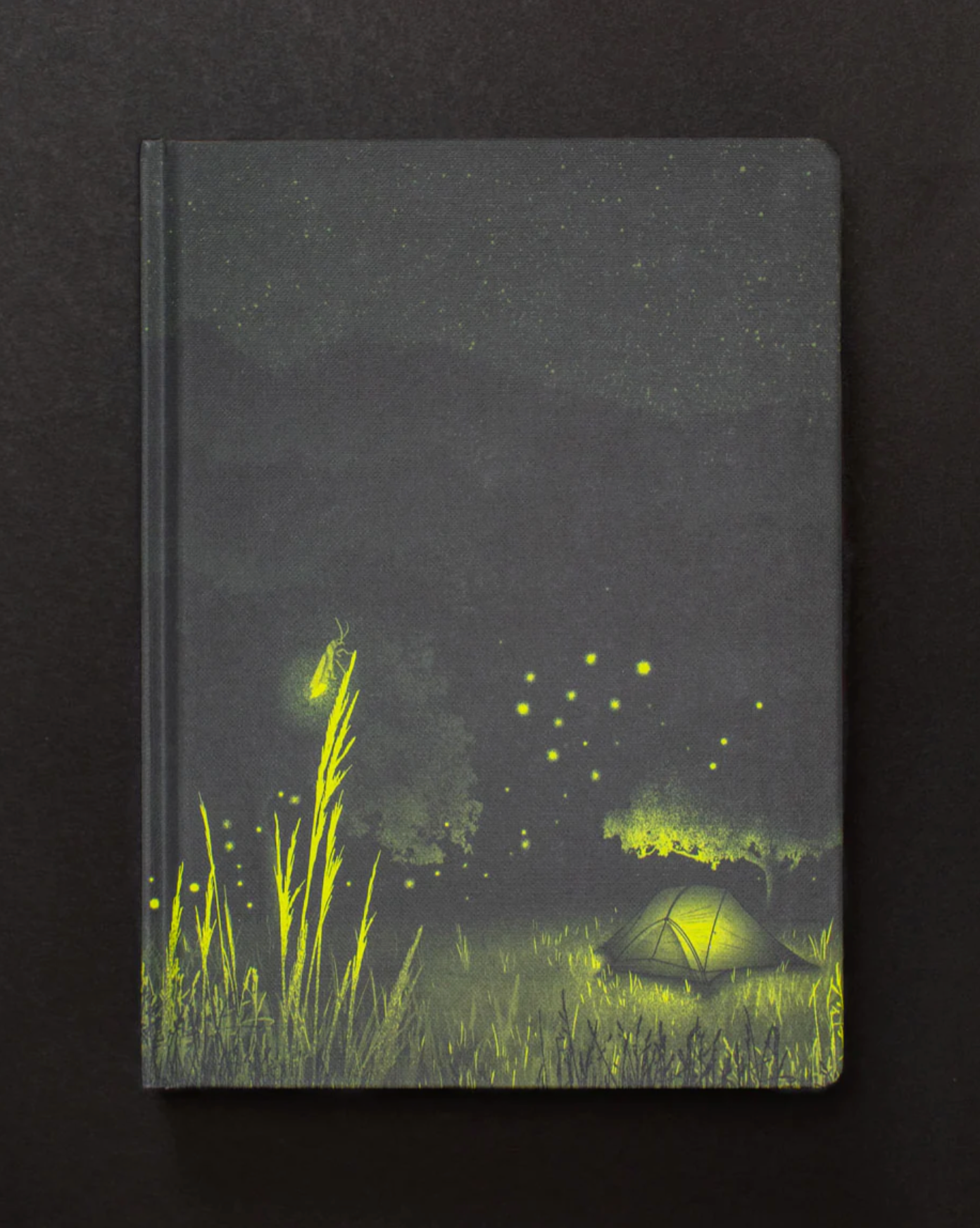 Firefly Dark Matter Journal