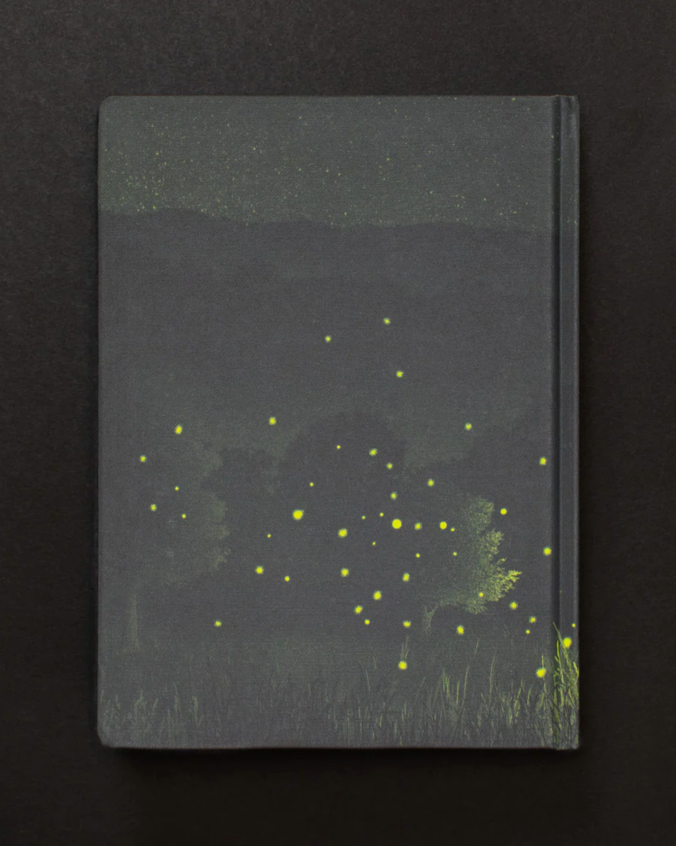 Firefly Dark Matter Journal