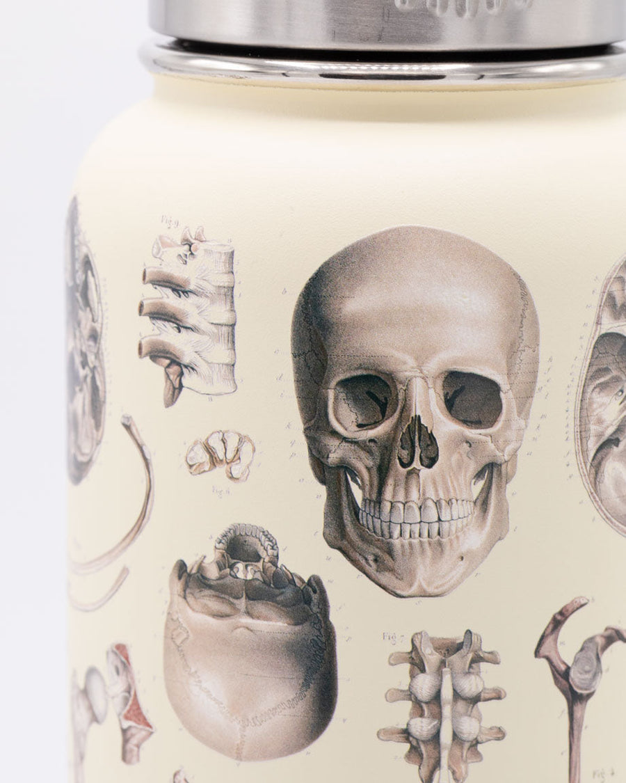 Skeleton Water Bottle - 32 oz