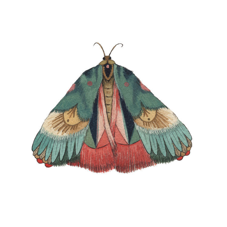 Teal Moth Print