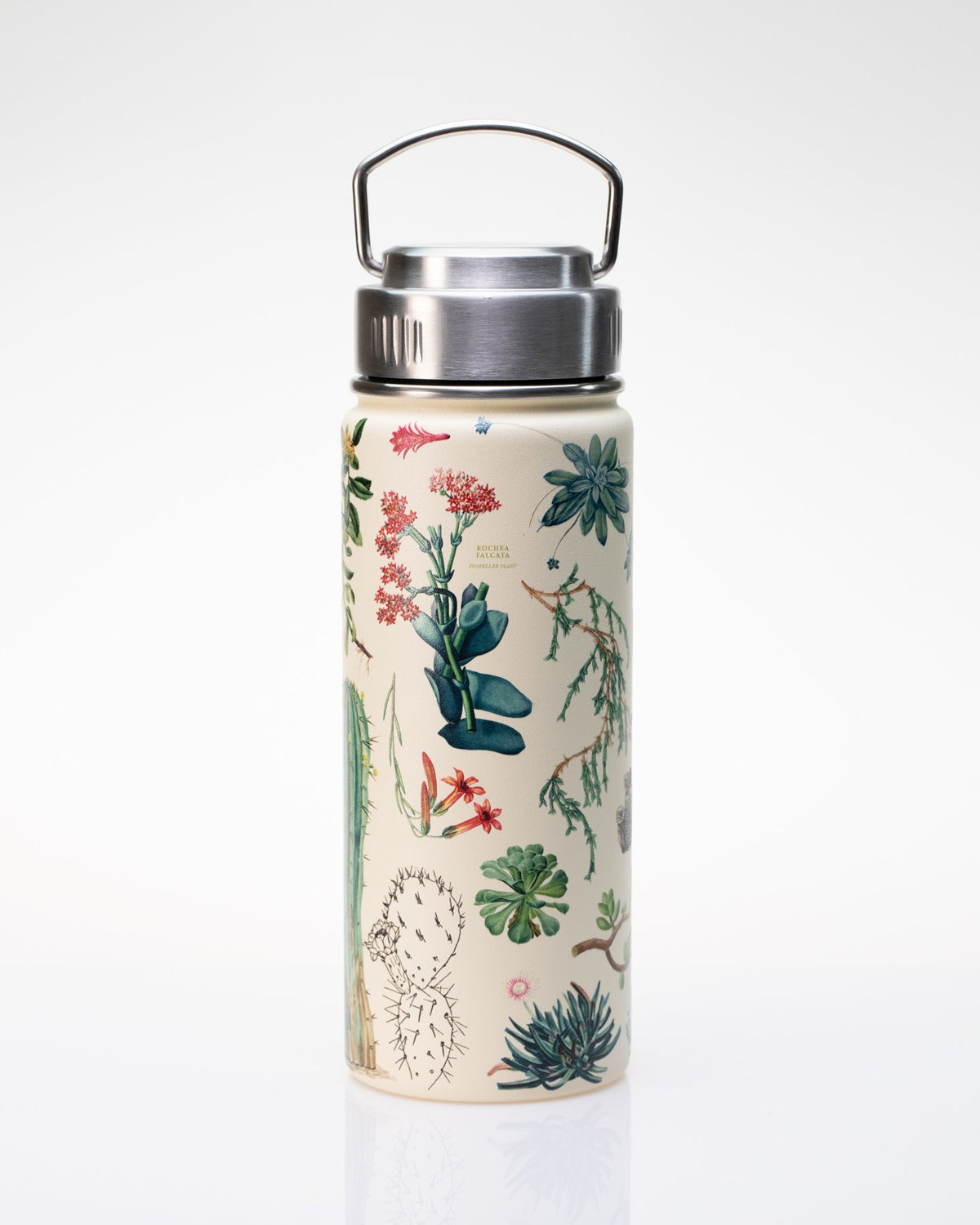 Cognitive Surplus Succulents Water Bottle - Thumbnail 2