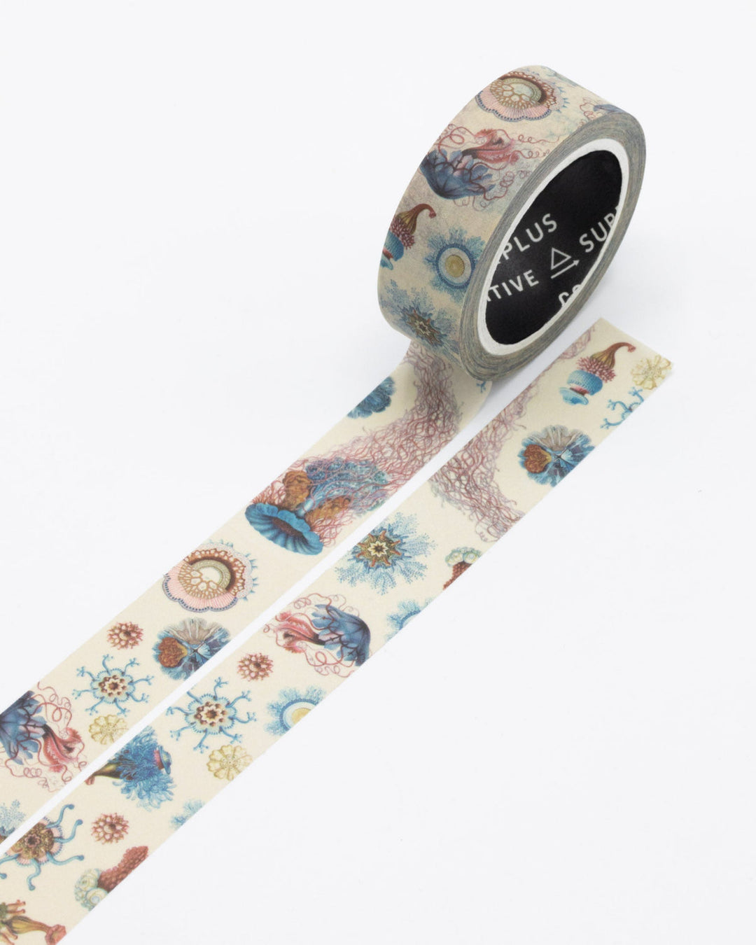 Haeckel Jellyfish Washi Tape