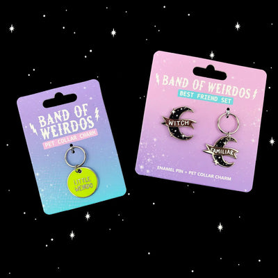 Witch & Familiar Pin + Pet Collar Charm