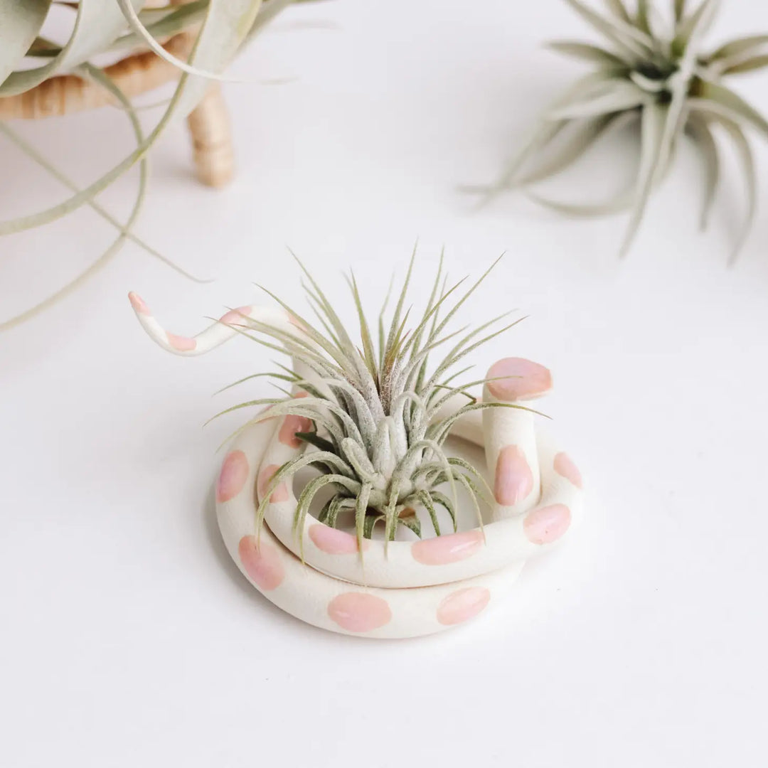 Self Care Ceramic Snake - Coiled Sofie