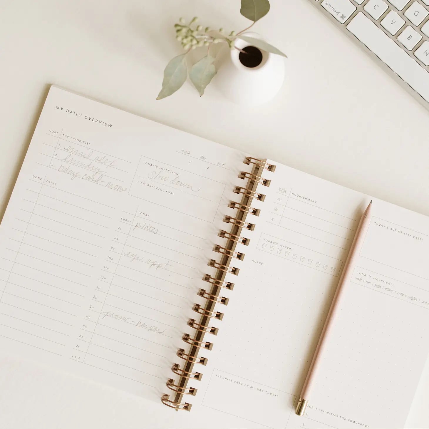 Daily Overview Planner Undated - Charcoal Gray